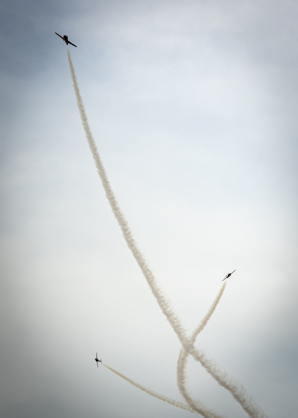 Snowbirds